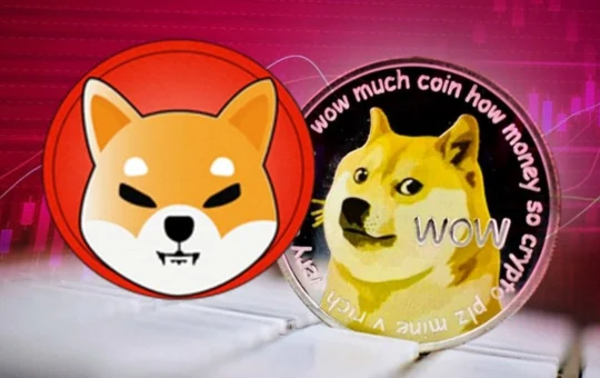 Dogecoin, Shiba Inu