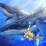 Bitcoin Whale Selling Cools as Traders Shift Focus to Key $59K Level