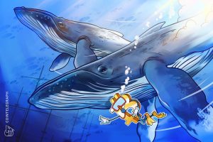 Bitcoin Whale Selling Cools as Traders Shift Focus to Key $59K Level
