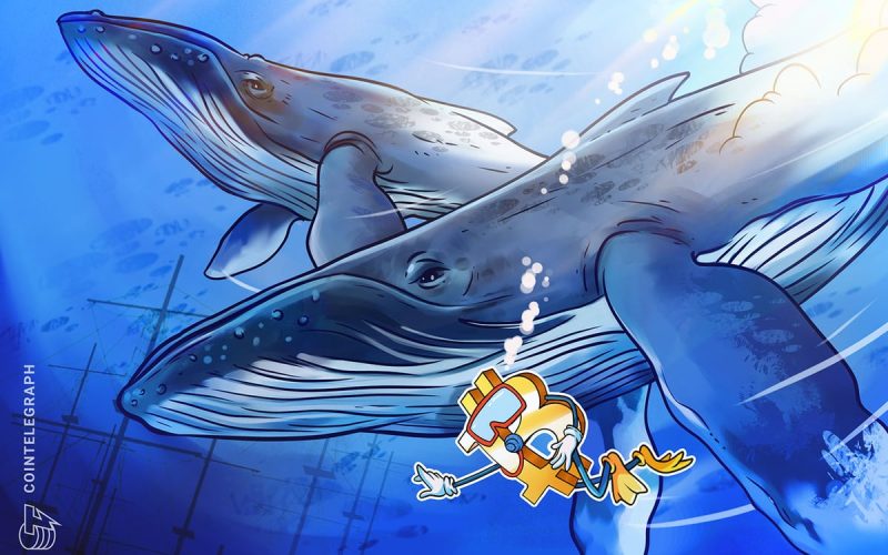 Bitcoin Whale Selling Cools as Traders Shift Focus to Key $59K Level
