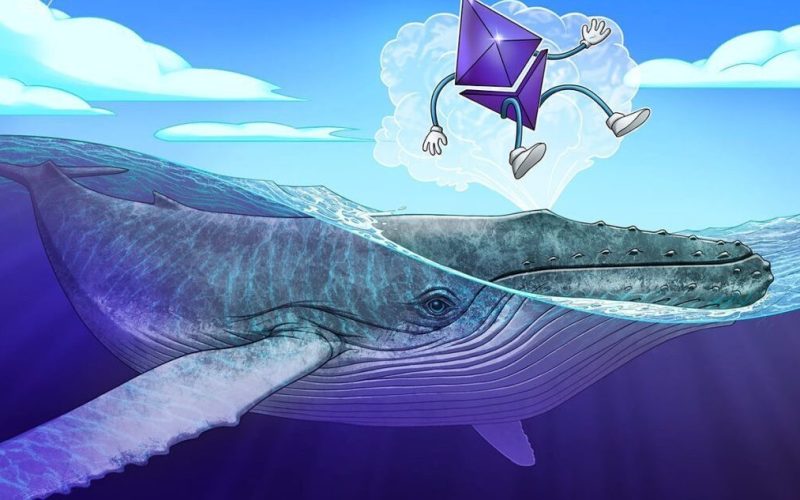 Ethereum whale accumulation amid ETF outflows